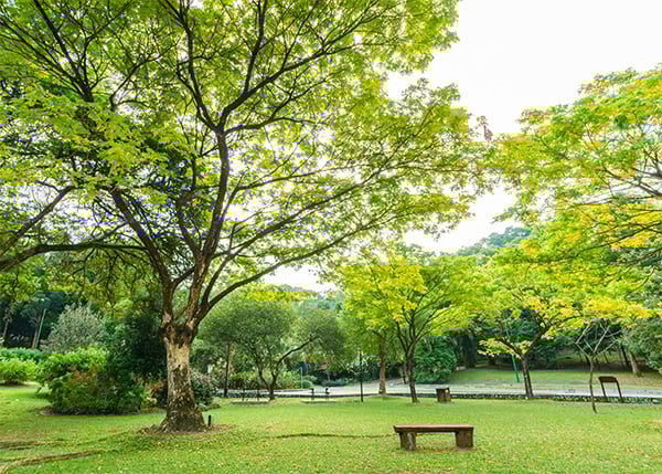 Komune-Care-enviromnment Komune-Care-enviromnment